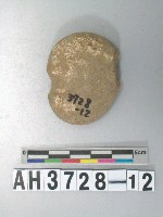 藏品(砝碼型石網墜)的圖片
